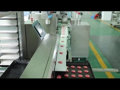 Galletas cortadas que encrustan la máquina de la fabricación de la galleta de la maquinaria 100g